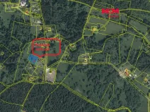 Prodej louky, Nejdek - Bernov, 1479 m2