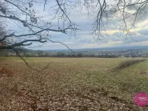 Prodej louky, Bělkovice-Lašťany, 27123 m2