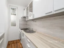 Pronájem bytu 1+1, Děčín, Růžová, 35 m2
