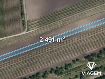 Prodej pole, Velké Pavlovice, 2491 m2