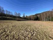 Prodej pozemku, Bernartice, 11266 m2