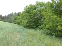 Prodej pozemku, Pohledy - Horní Hynčina, 1135 m2