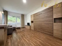 Pronájem bytu 1+kk, Ostrov - Horní Žďár, 28 m2