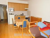 Pronájem bytu 1+kk, Frýdek-Místek, Pekařská, 34 m2