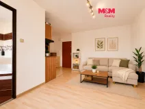 Pronájem bytu 1+kk, Ostrava - Moravská Ostrava, Petra Křičky, 28 m2