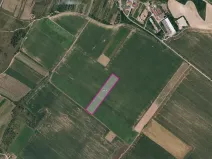 Prodej pole, Znojmo, 5390 m2