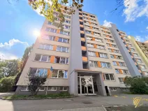 Prodej bytu 2+1, Mladá Boleslav, Purkyňova, 60 m2