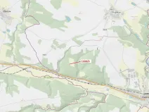 Dražba lesa, Vladislav, 54 m2