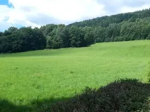 Prodej pozemku pro bydlení, Loučná nad Desnou, 36840 m2