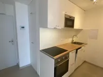Pronájem bytu 2+kk, Praha - Žižkov, Malešická, 45 m2