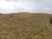 Dražba louky, Letovice, 25345 m2