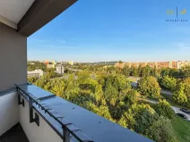 Pronájem bytu 1+kk, Brno, třída Generála Píky, 36 m2