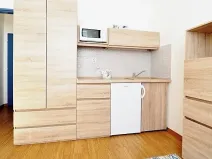 Prodej bytu 1+kk, Brno, Cejl, 17 m2