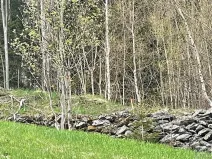 Prodej louky, Paseky nad Jizerou, 3303 m2