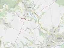 Dražba lesa, Oslavany, 378 m2
