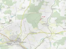 Dražba lesa, Milavče, 2102 m2
