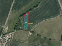 Prodej pole, Horní Ředice, 7349 m2