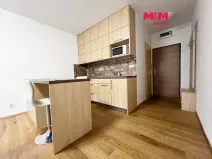 Pronájem bytu 1+kk, Strakonice - Přední Ptákovice, Šumavská, 28 m2