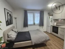 Pronájem bytu 1+kk, České Budějovice, Pekárenská, 22 m2