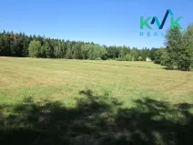 Prodej louky, Nejdek, 7718 m2