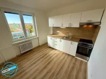 Pronájem bytu 1+1, Opava, Šrámkova, 38 m2