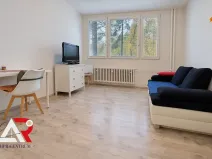 Pronájem bytu 1+kk, Brno, Halasovo náměstí, 24 m2