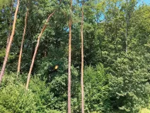 Prodej bytu 3+kk, Ostrava, Binarova, 89 m2