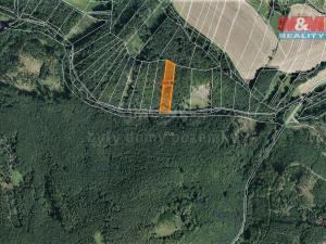 Prodej lesa, Vranová Lhota, 2021 m2