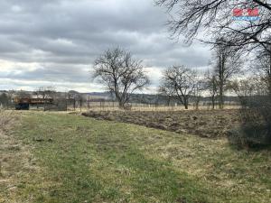 Prodej zahrady, Cizkrajov - Holešice, 1159 m2
