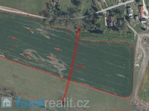 Prodej zemědělské půdy, Tachov, 31760 m2