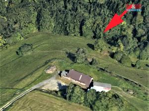 Prodej louky, Koberovy, 1670 m2