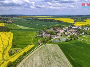 Prodej zemědělské půdy, Ostrov u Bezdružic - Pláň, 6672 m2