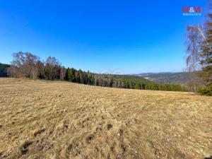 Prodej pozemku pro bydlení, Rožmberk nad Vltavou, 9451 m2