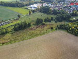 Prodej trvalého travního porostu, Františkovy Lázně - Žírovice, 8900 m2