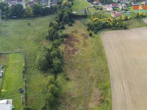 Prodej trvalého travního porostu, Františkovy Lázně - Žírovice, 8900 m2