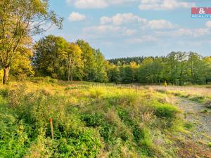 Prodej pozemku pro bydlení, Stará Voda, 2517 m2