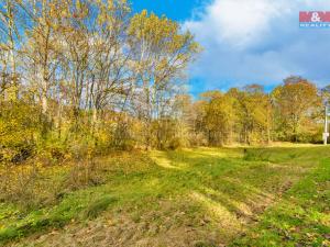 Prodej trvalého travního porostu, Konstantinovy Lázně - Dlouhé Hradiště, 3120 m2