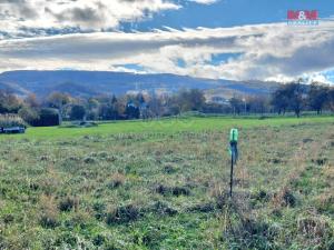 Prodej zemědělské půdy, Zlaté Hory, 1500 m2