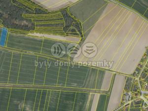 Prodej zemědělské půdy, Slabčice, 2755 m2