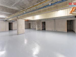 Prodej bytu 4+kk, Praha, Sestupná, 120 m2