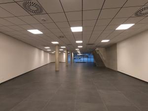 Pronájem obchodního prostoru, Brno, Polní, 226 m2