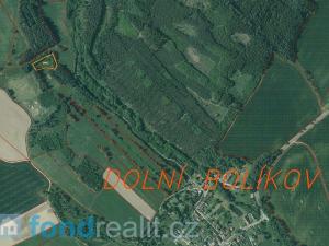 Prodej trvalého travního porostu, Cizkrajov - Dolní Bolíkov, 3302 m2
