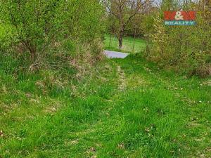 Pronájem louky, Opatovice I, 4032 m2