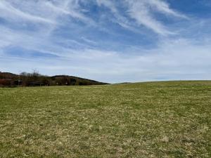 Prodej pozemku pro bydlení, Krásný Les, 1000 m2