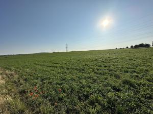 Prodej pozemku pro komerční výstavbu, Praha - Třeboradice, Za tratí, 29191 m2