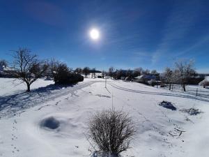 Prodej pozemku pro bydlení, Větrný Jeníkov, 1185 m2