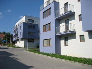 Pronájem bytu 1+kk, Brno, Čeňka Růžičky, 39 m2