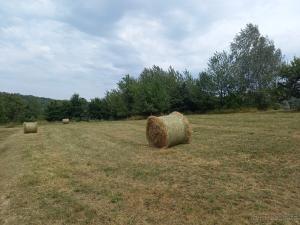 Prodej zemědělské usedlosti, Lopeník, 305 m2