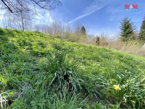 Prodej pozemku, Bartošovice v Orlických horách, 1153 m2