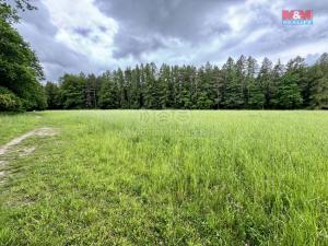 Prodej trvalého travního porostu, Svojetice, 11239 m2